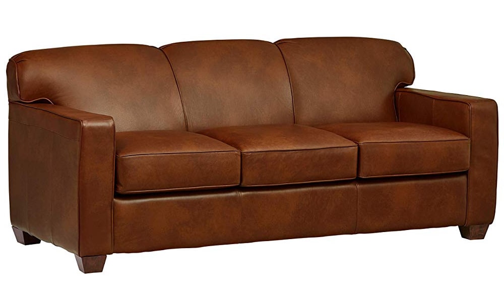 sleeper sofa power leather